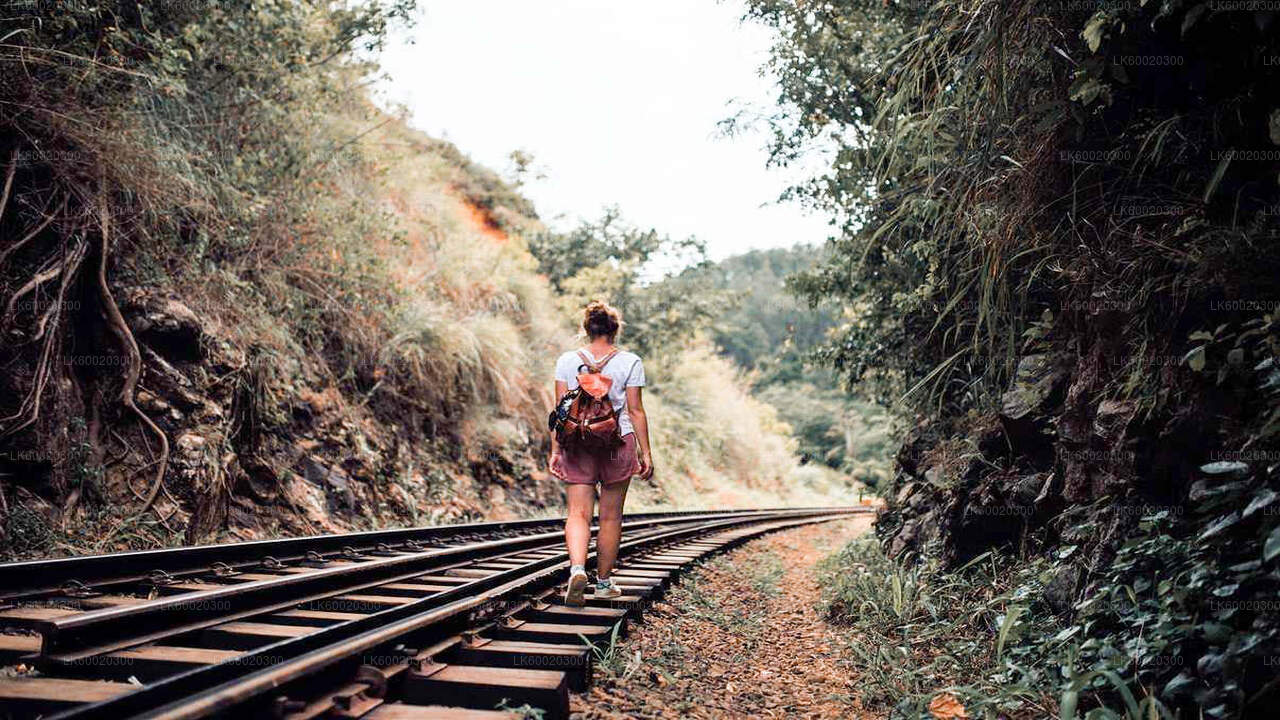Woman with a backpack walking along railway tracks surrounded by lush greenery and hills.