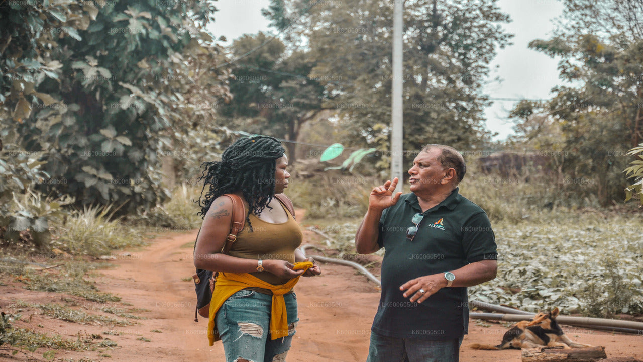 Hiriwadunna-dorpstour vanuit Habarana