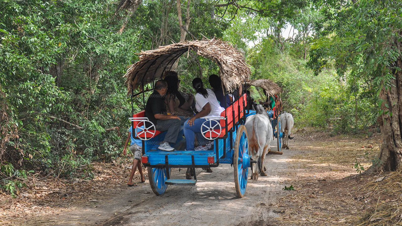 Hiriwadunna-dorpstour vanuit Habarana