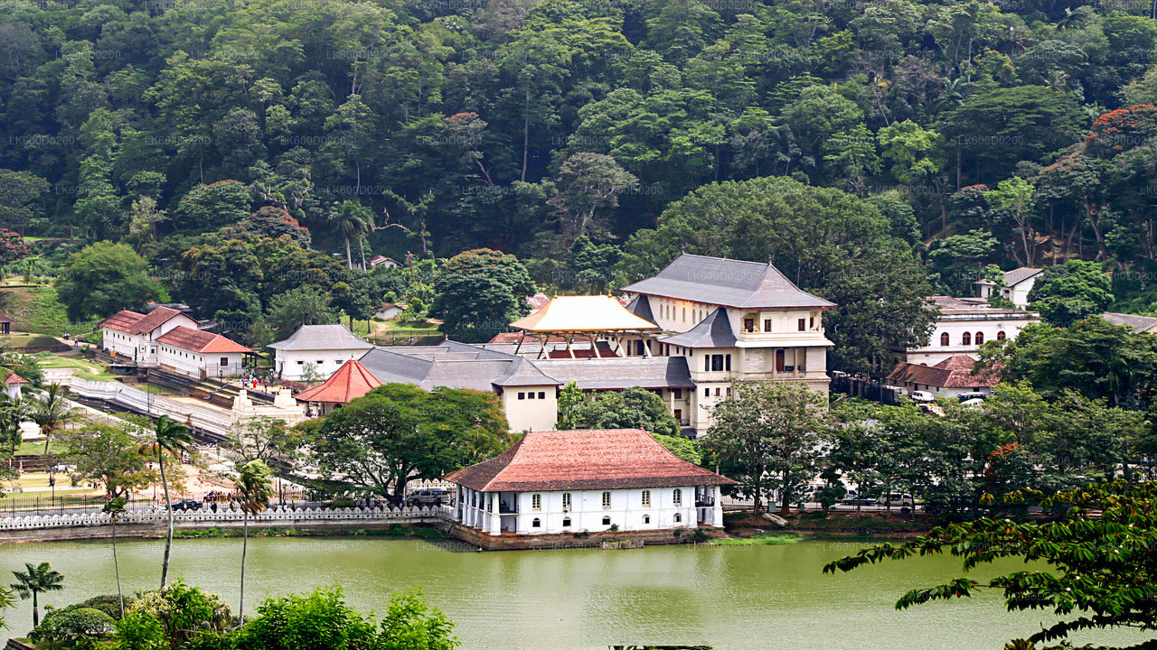 Stadsrondleiding Kandy vanuit Bentota