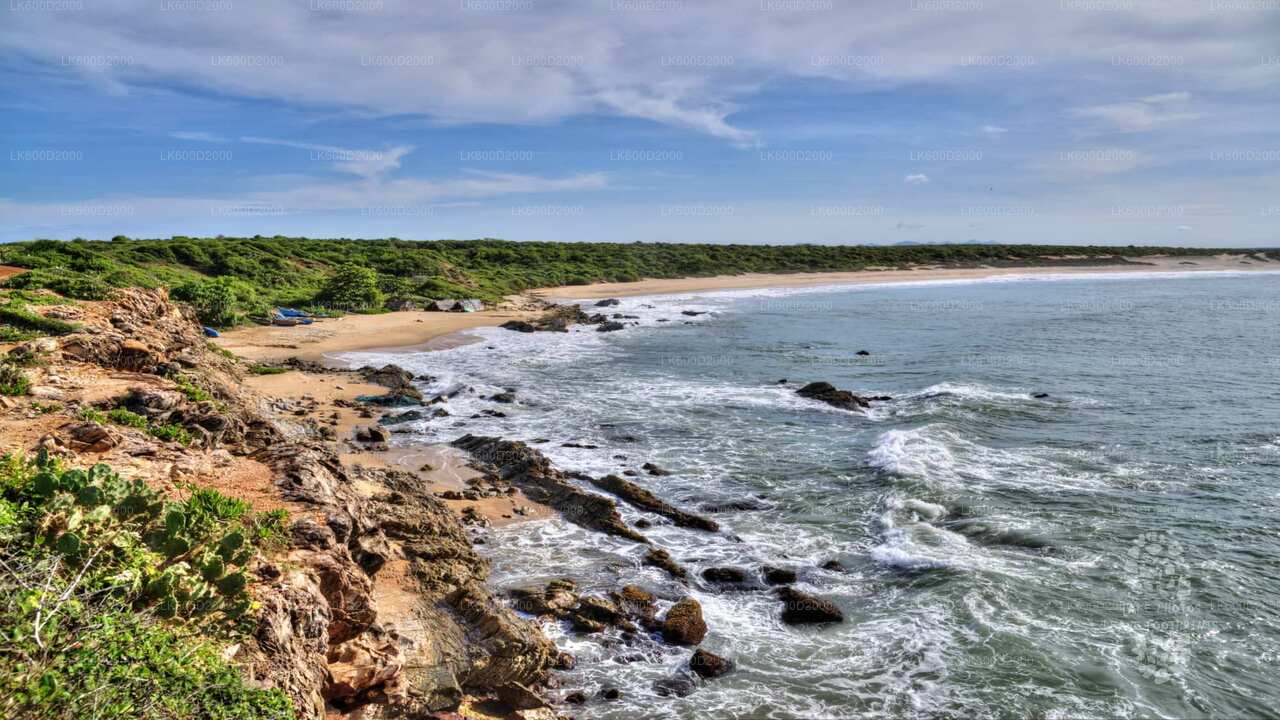 Bundala National Park Safari vanuit Bentota