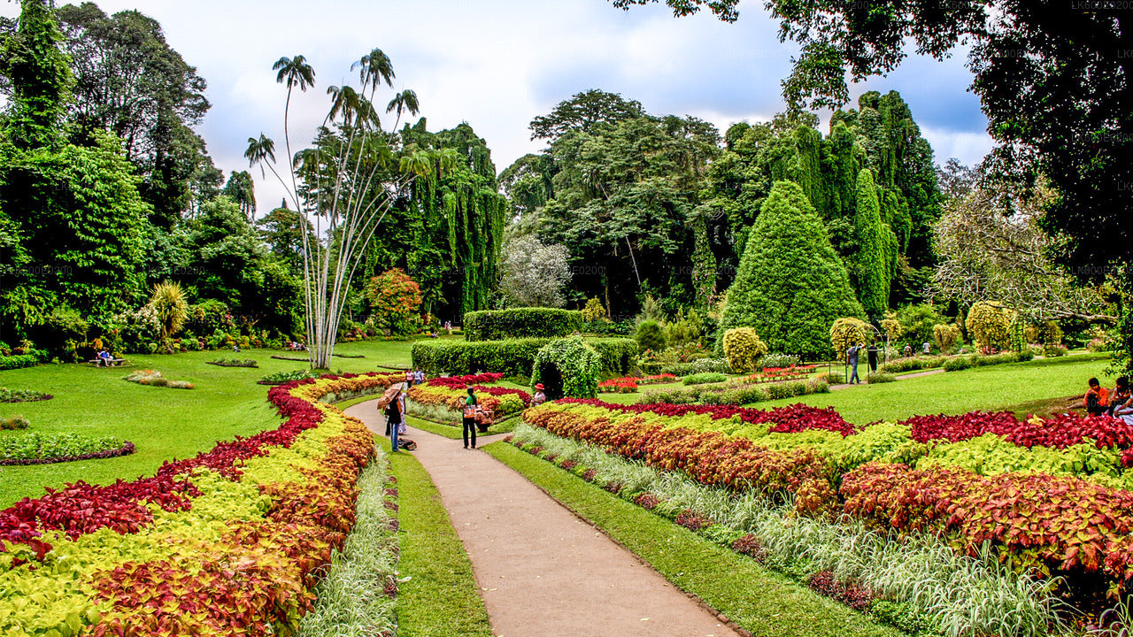 Stadsrondleiding Kandy vanuit Beruwala
