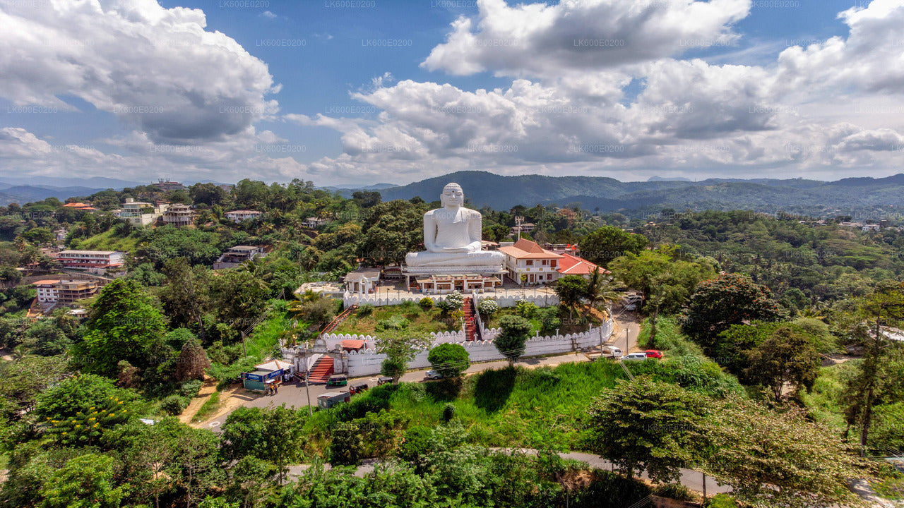 Stadsrondleiding Kandy vanuit Beruwala