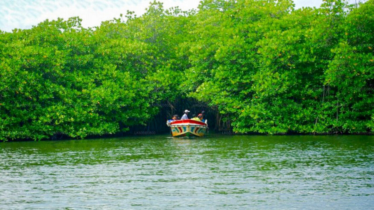 Bentota stadstour en Galle vanuit Beruwala