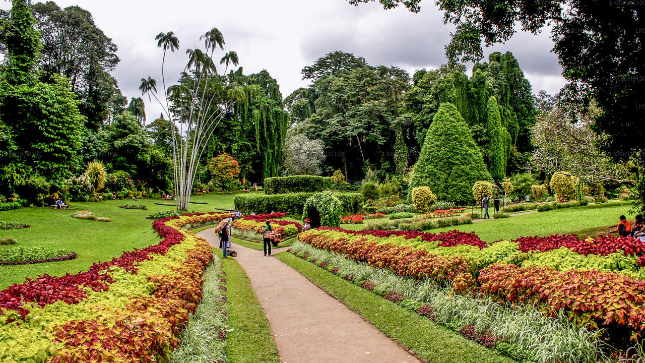 Stadstour naar Kandy vanuit Colombo