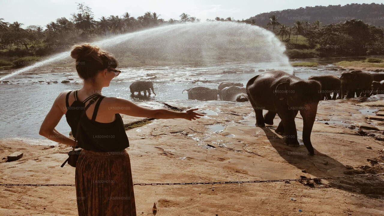 Stadstour naar Kandy vanuit Colombo
