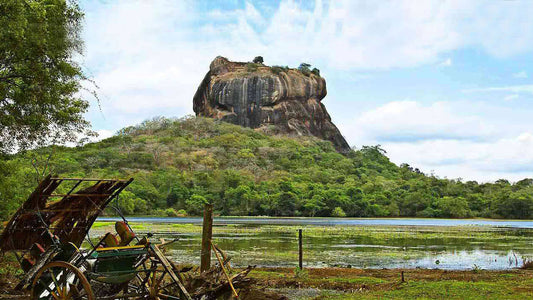 Sigiriya en Dambulla uit Colombo