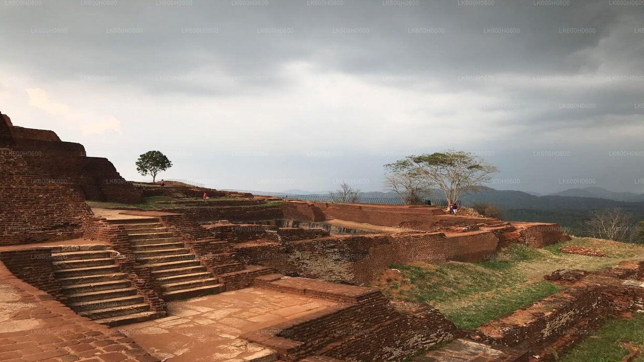 Sigiriya en Dambulla uit Colombo