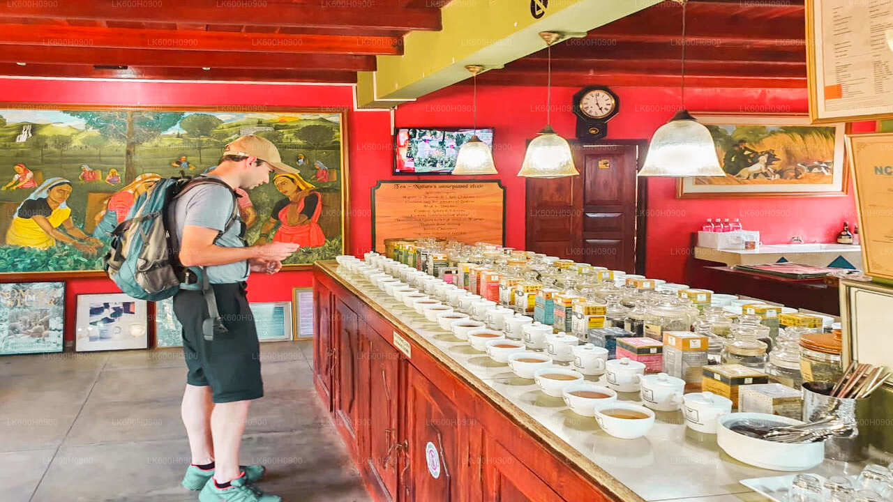 Hoogtepunten van de Zuidkust vanuit Colombo