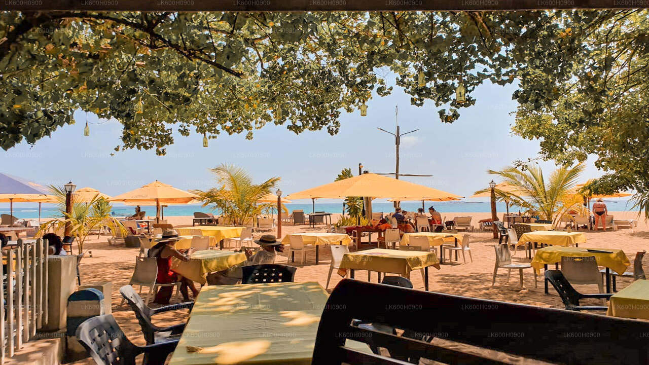 Hoogtepunten van de Zuidkust vanuit Colombo