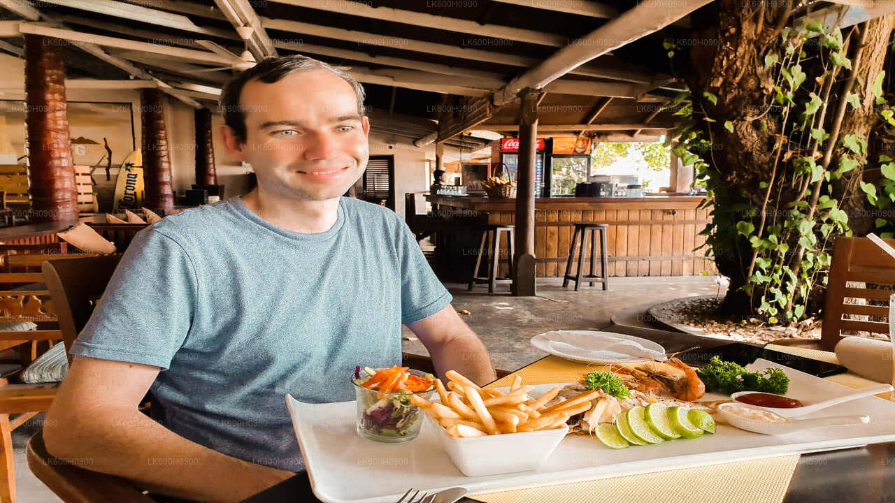 Hoogtepunten van de Zuidkust vanuit Colombo