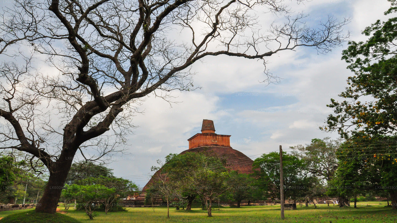 Heilige stad Anuradhapura uit Colombo