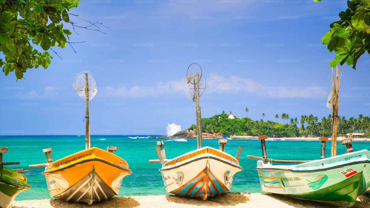 Negombo-stadstour vanuit Colombo