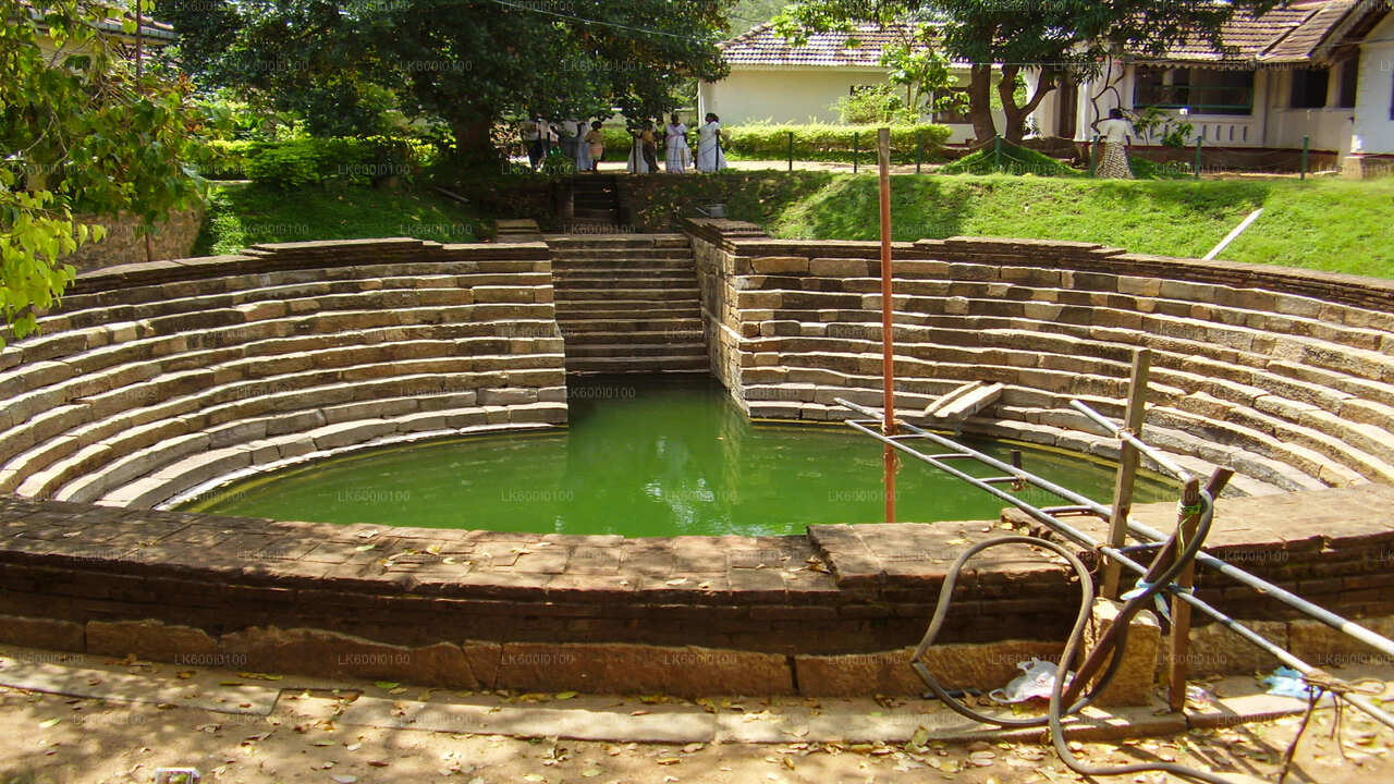 Ancient circular stepwell with stone steps leading down to a green water pool.