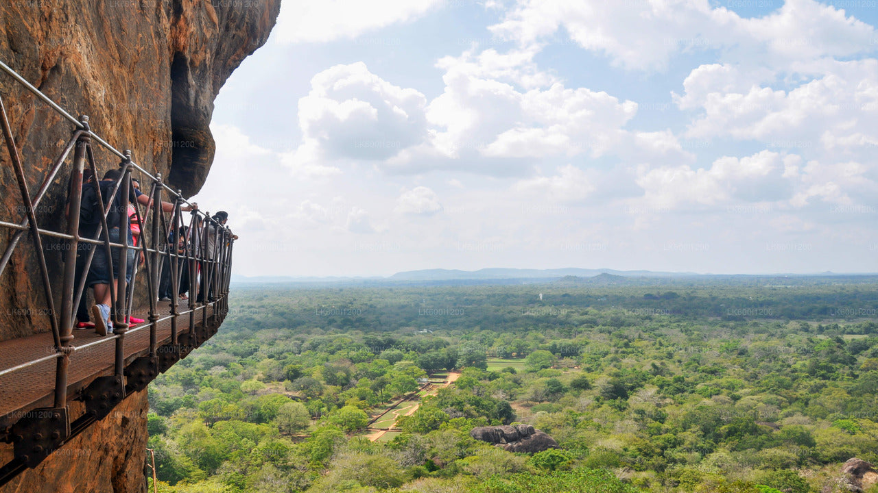 Sigiriya-rots- en wilde olifantensafari vanuit Dambulla