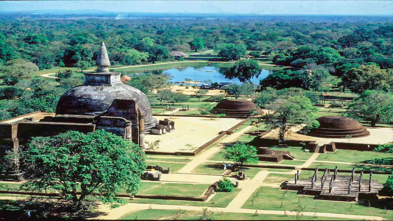 Safari naar het oude koninkrijk van Polonnaruwa en wilde olifanten vanuit Dambulla