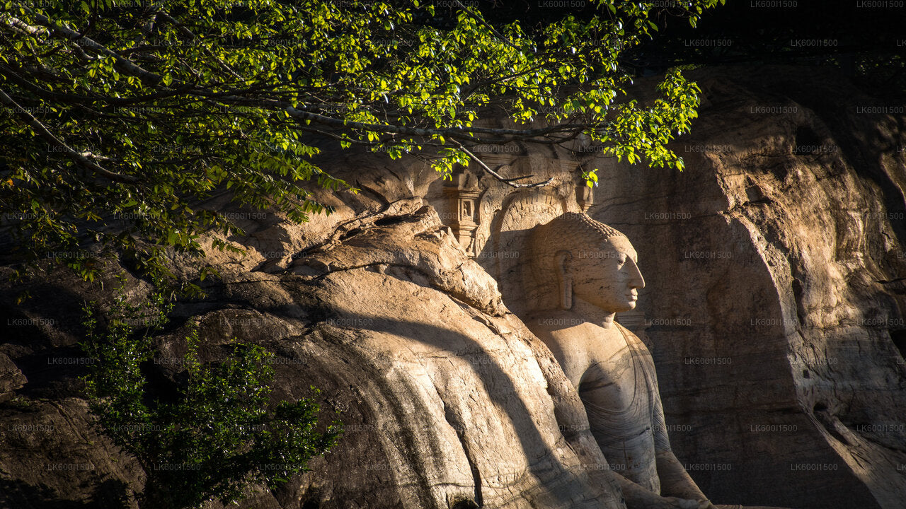 Safari naar het oude koninkrijk van Polonnaruwa en wilde olifanten vanuit Dambulla
