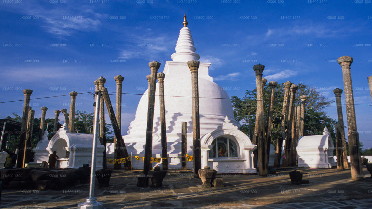 Rondleiding door boeddhistische iconen van Anuradhapura vanuit Dambulla
