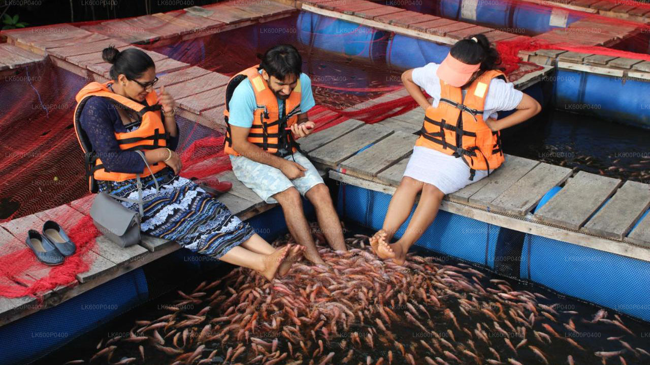 Stadstour naar Bentota vanuit Galle