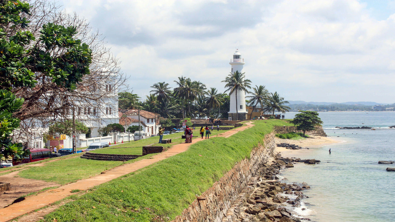 Hoogtepunten van de zuidkust vanuit Galle