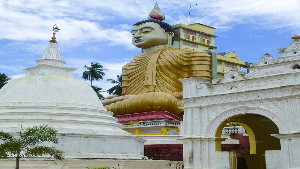 Verborgen tempels en afgelegen kustlijntour vanuit Galle