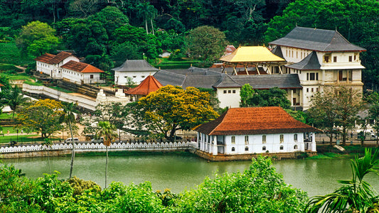 Stadsrondleiding Kandy vanuit Hikkaduwa