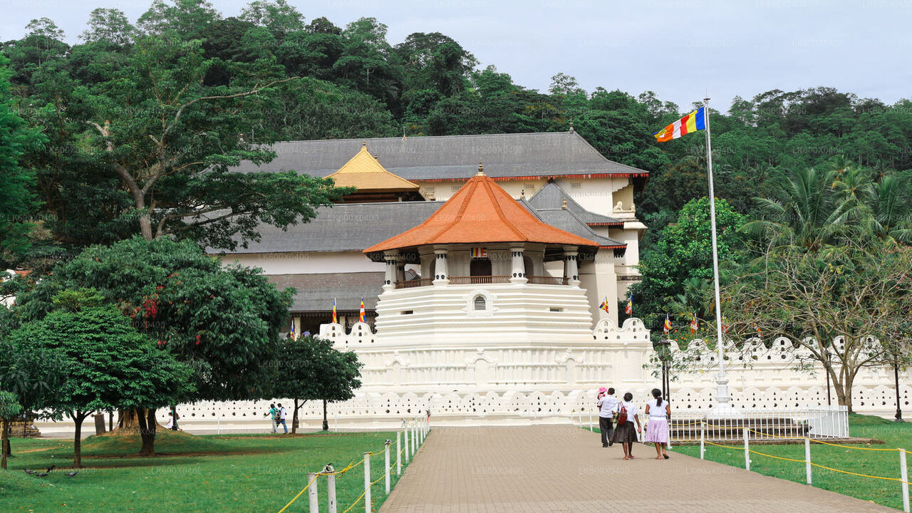 Stadsrondleiding Kandy vanuit Hikkaduwa