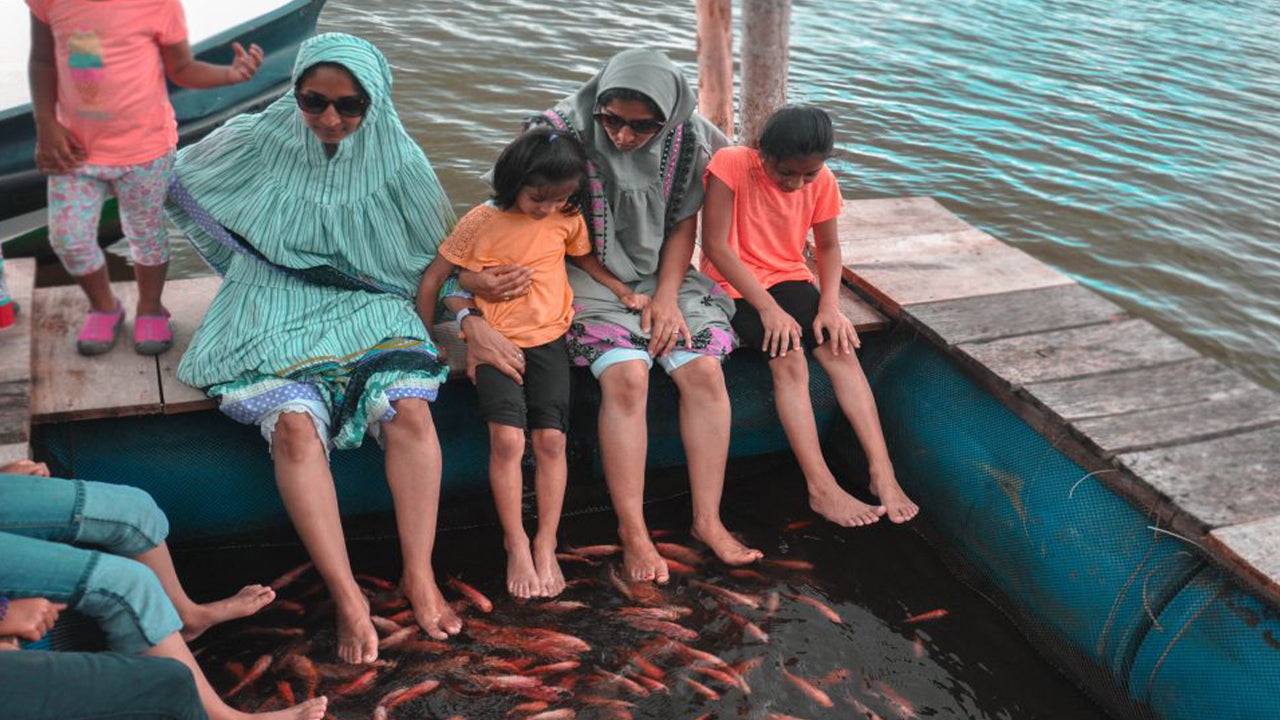 Balapitiya, Handunugoda en Galle uit Bentota
