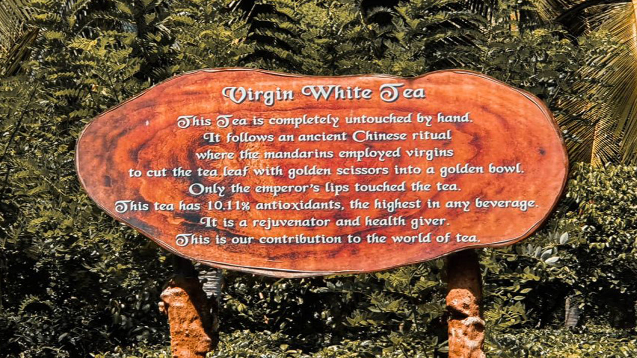 Balapitiya, Handunugoda en Galle uit Bentota