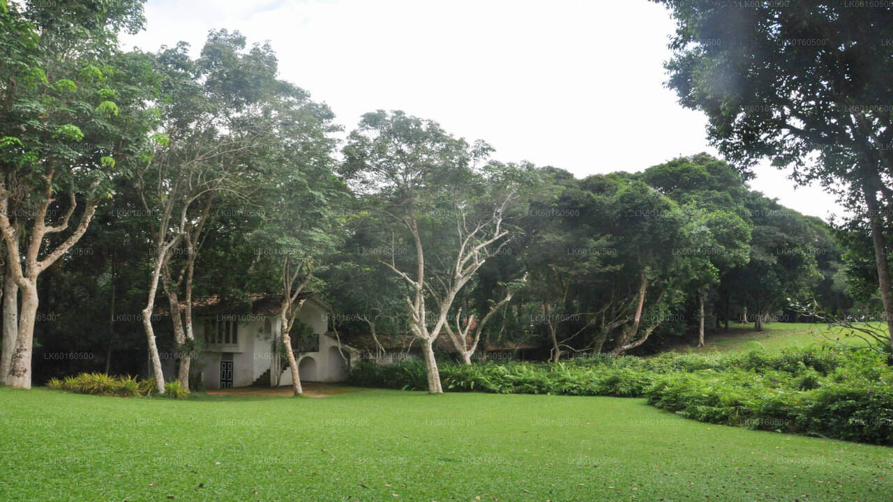 Stadsrondleiding Bentota vanuit Kalutara