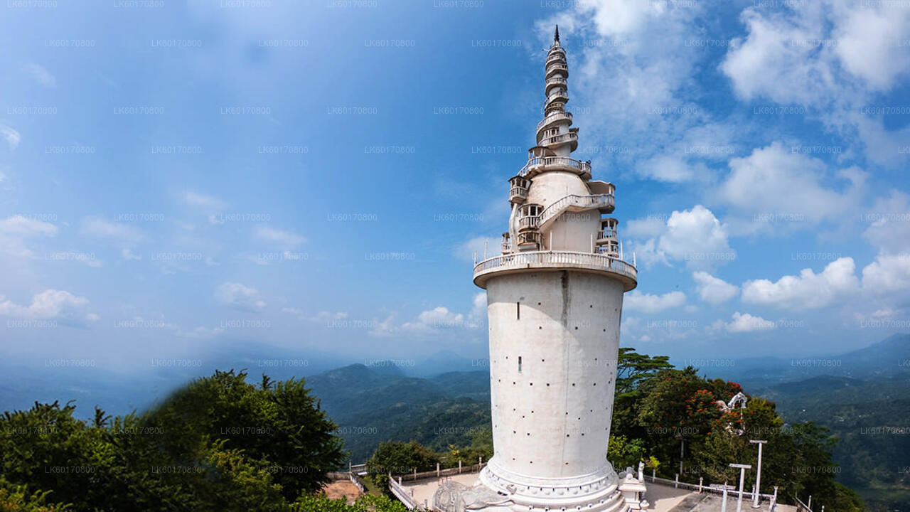 Explore Ambuluwawa Biodiversity Complex from Kandy
