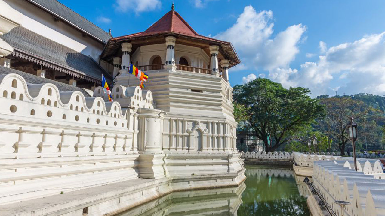 Rondleiding naar Pinnawala en Kandy vanuit Colombo