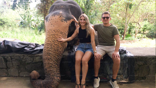 Millennium Elephant Foundation uit Colombo