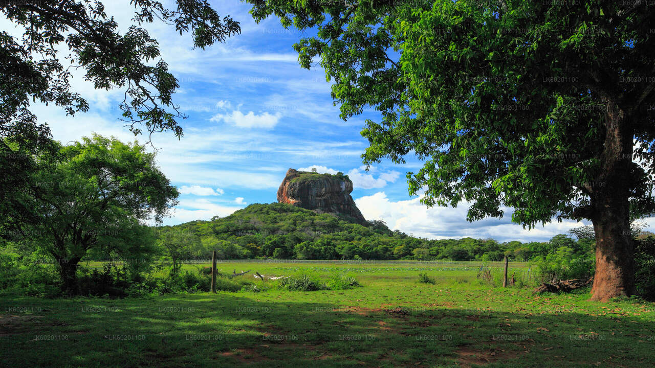 Sigiriya-rots en Dambulla-grot vanuit Sigiriya