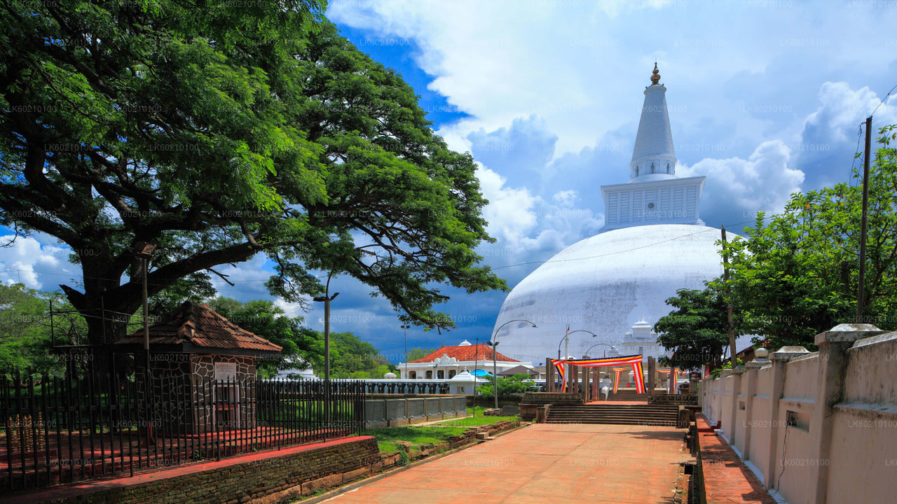 Heilige stad Anuradhapura vanuit Sigiriya