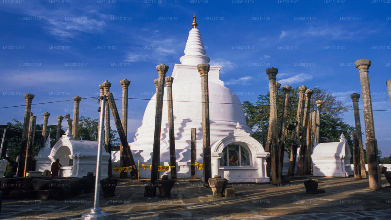 Heilige stad Anuradhapura vanuit Sigiriya