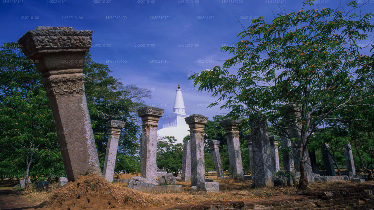 Heilige stad Anuradhapura vanuit Sigiriya