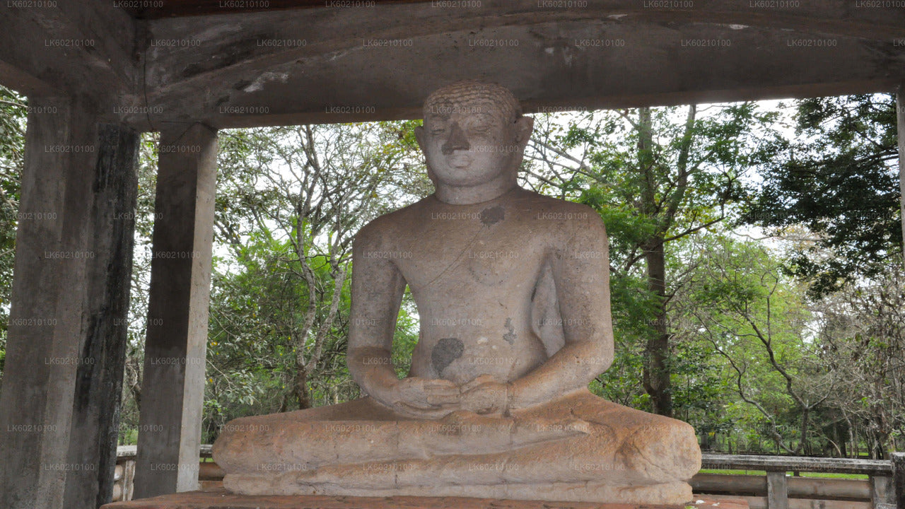 Heilige stad Anuradhapura vanuit Sigiriya
