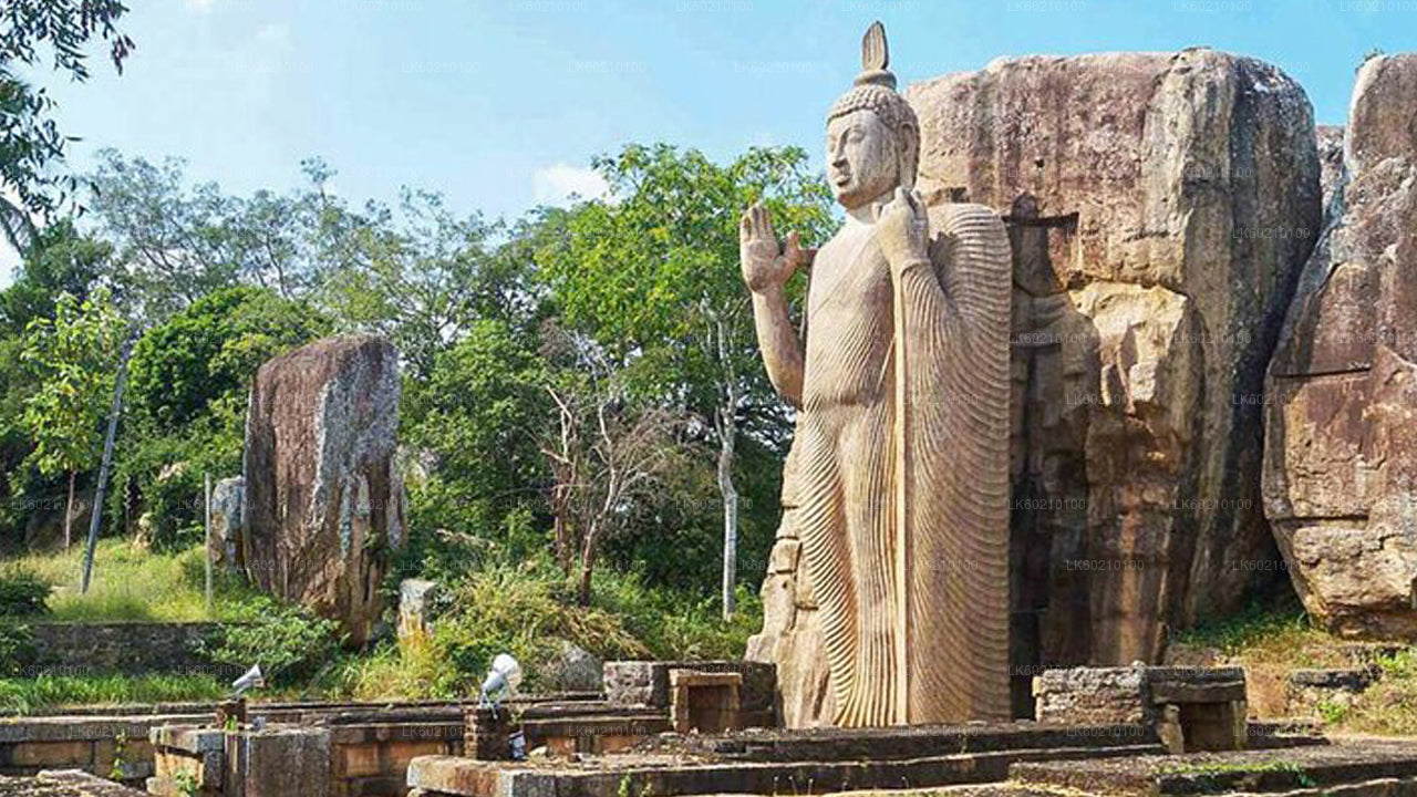 Heilige stad Anuradhapura vanuit Sigiriya
