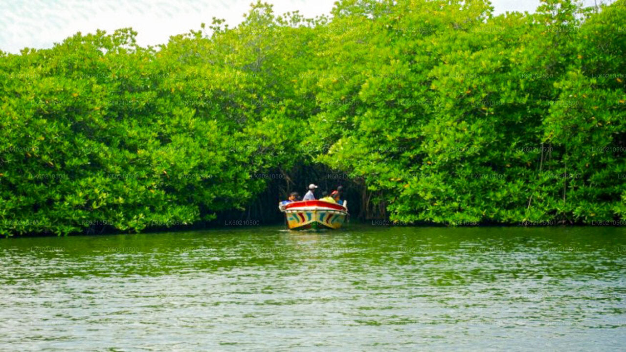 Activiteiten vanuit Tangalle