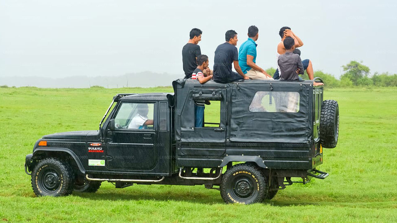 Bundala National Park Safari vanuit Tangalle