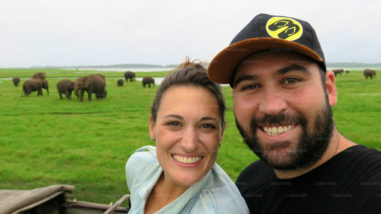 Bundala National Park Safari vanuit Tangalle