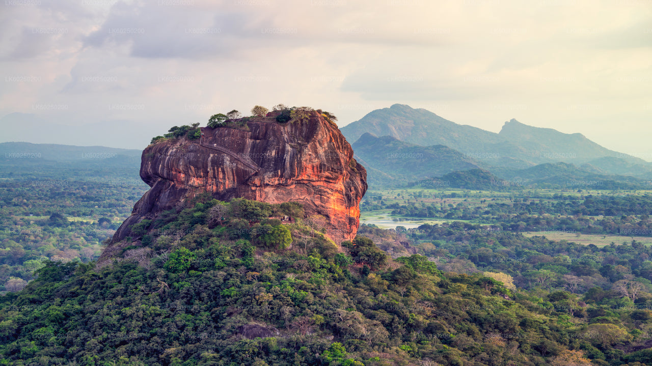 Sigiriya Rock- en wilde olifantensafari vanuit Pasikuda