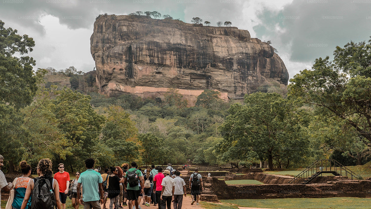 Sigiriya Rock- en wilde olifantensafari vanuit Pasikuda