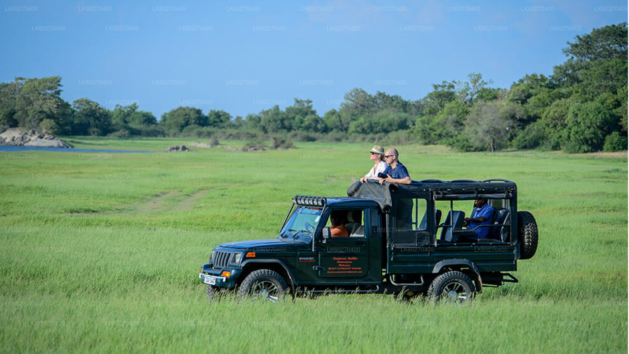 Safari in Nationaal Park Udawalawe vanuit Dikwella