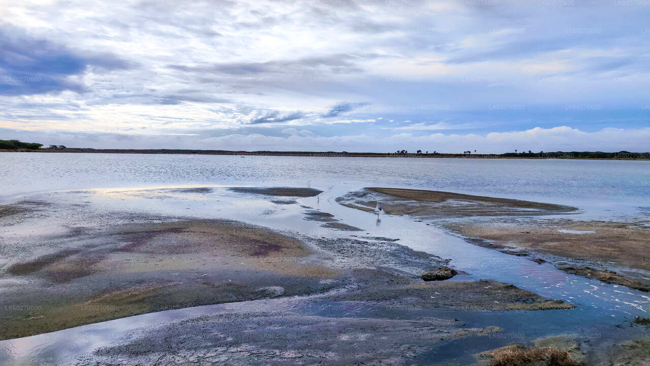 Safari in Nationaal Park Bundala vanuit Dikwella