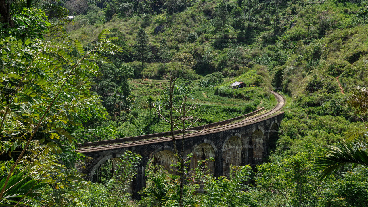 Het pittoreske dorpje Ella, gezien vanuit Hambantota.