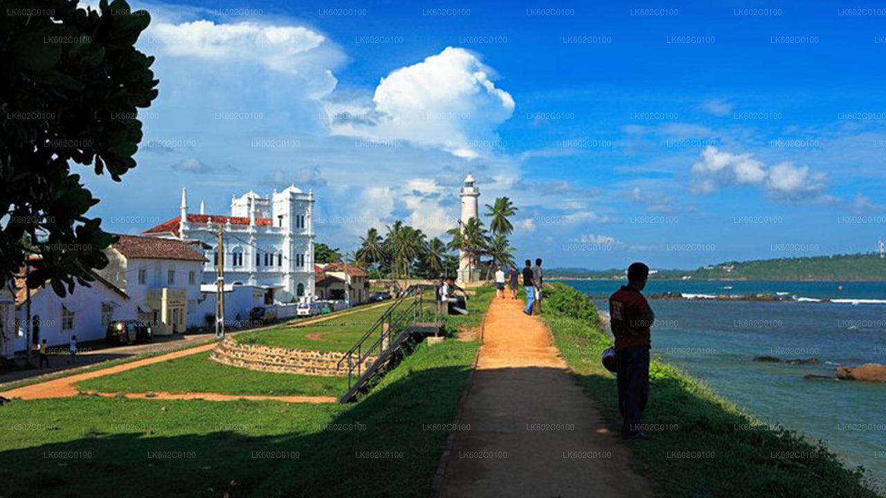 Hoogtepunten van de Zuidkust vanuit Weligama City