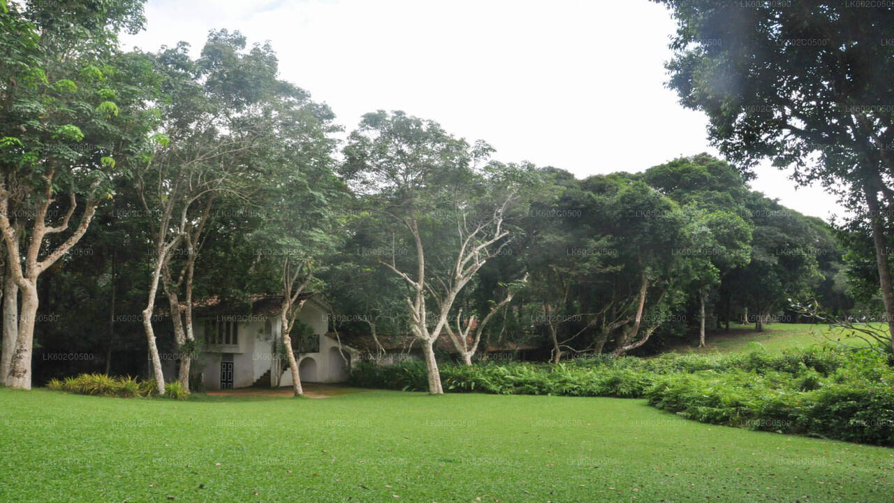 Bentota Stadstour vanuit Weligama