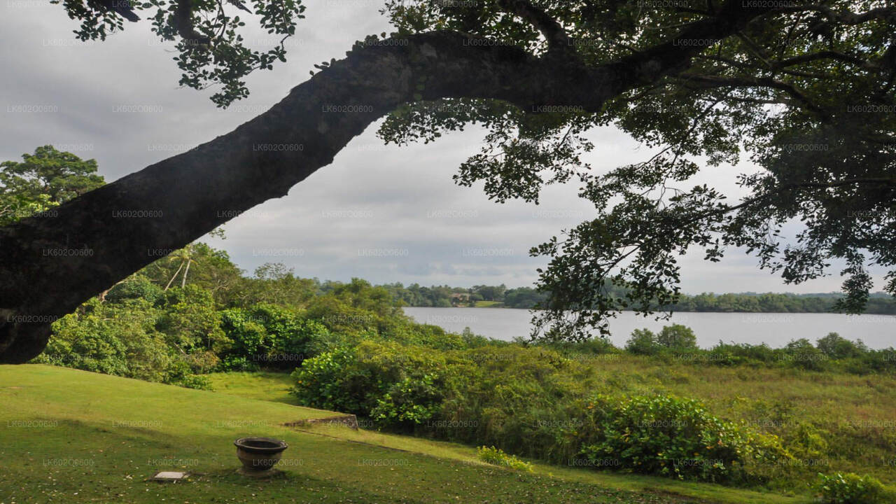 Bentota Stadstour vanuit Mirissa
